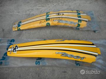 Parafagno posteriore gas gas txt 2001