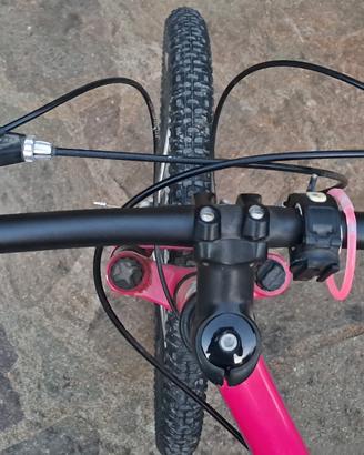 Bici mtb 24 Specialized 