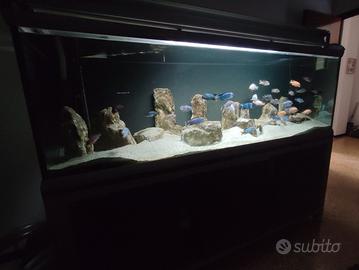 acquario Ferplast 200. 750 litri