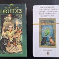 Carte Druidi