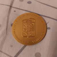 Medaglia celebrativa amministrazione provinciale d