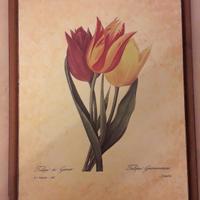 Quadretto tulipani dipinti su legno