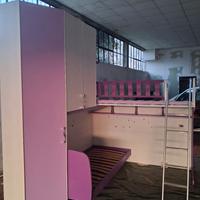 camerina Moretti femmina 