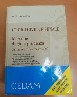 Codici civile e penale – Massime di giurisprudenza
