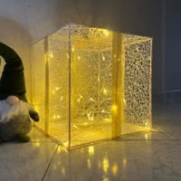 Pacco finto luminoso