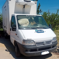 Fiat Ducato isotermico frigo