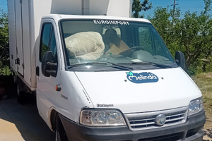 Fiat Ducato isotermico frigo