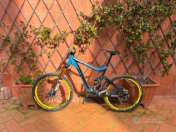 Giant reign custom