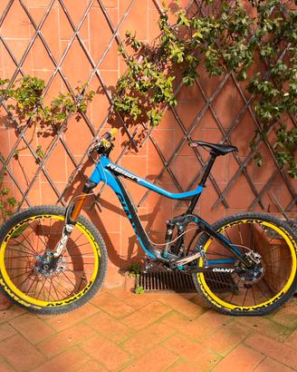 Giant reign custom