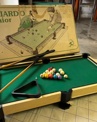 Biliardo Junior Arcofalc