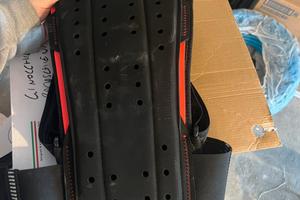 Paraschiena e ginocchiere