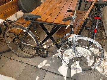 biciclette come da foto (Vicini)