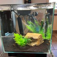 ACQUARIO NEWA CUBO 18 l