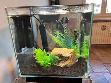 ACQUARIO NEWA CUBO 18 l