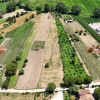 Terreno Agricolo Montesarchio