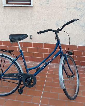 bicicletta Olandese