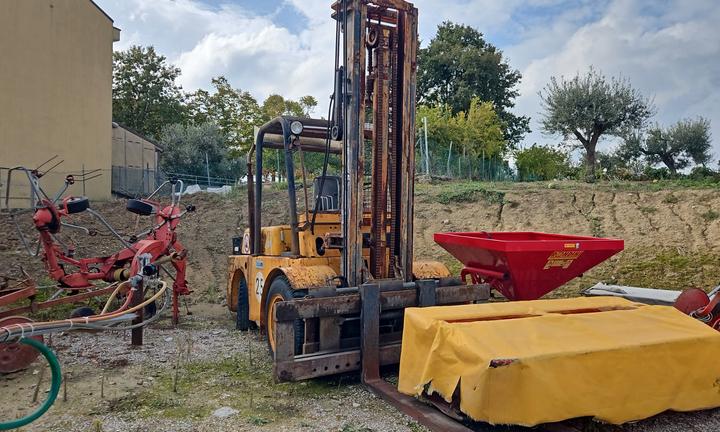 Muletto om dim 65 ql