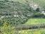 Immagine 25
