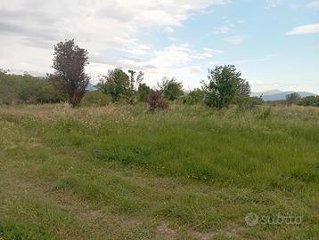 Terreno agricolo
