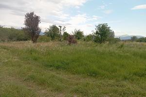 Terreno agricolo