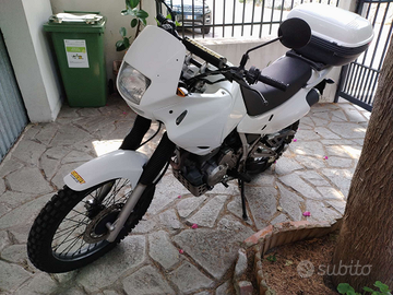 Honda Dominator 650-2000-