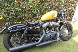 Harley Davidson forty eight 1200