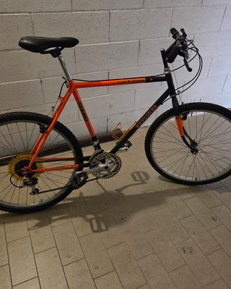 MTB d'epoca per appassionati
