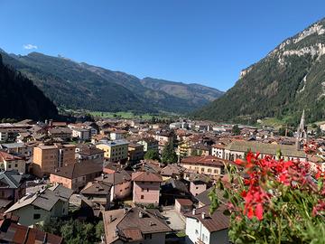 AGOSTO 2026 01.08-22.08.26sulle Dolomiti in villa