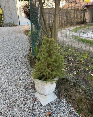 vasi esterni