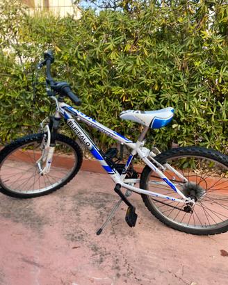 Bici MTB blu e bianca