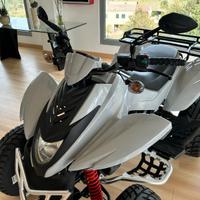 Quat Atv DINLI DL 350