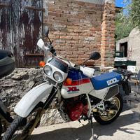 Honda XL 600 LM ASI
