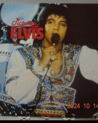 Elvis Presley - Vinile Picture Disc 1° Stampa 1984
