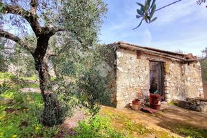 TER. AGRICOLO A GAETA