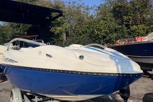 Sea doo Speedster 430 hp