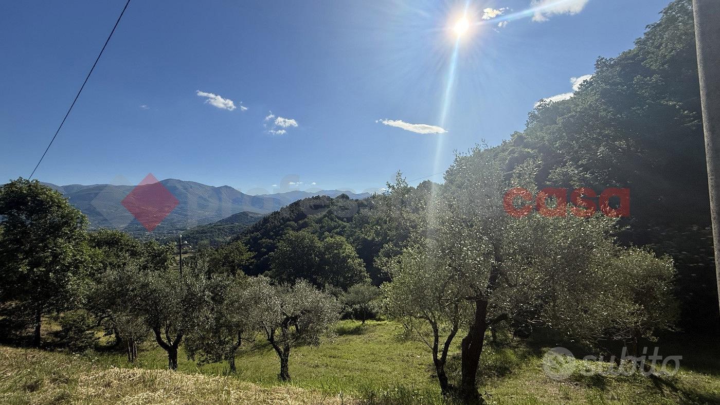 Terreno Agricolo Fumone [Cod. rif 3318314VRG] - View 5