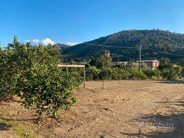 Terreno agricolo