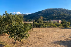 Terreno agricolo