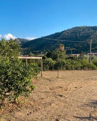 Terreno agricolo