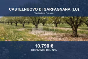 Immobile in asta di 60534 m² a Castelnuovo di Garf