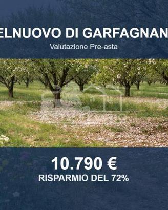 Immobile in asta di 60534 m² a Castelnuovo di Garf