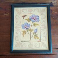Quadri Vintage Botanico /Country - 9 pezzi