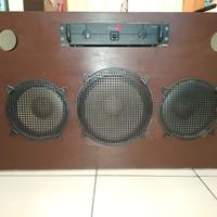 Cassa artigianale con amplificatore