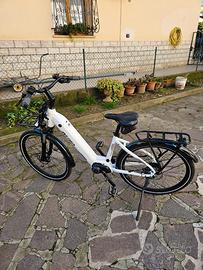 Bici elettrica 
