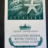 Trieste B 1952 Foglietto della Mostra Filatelica