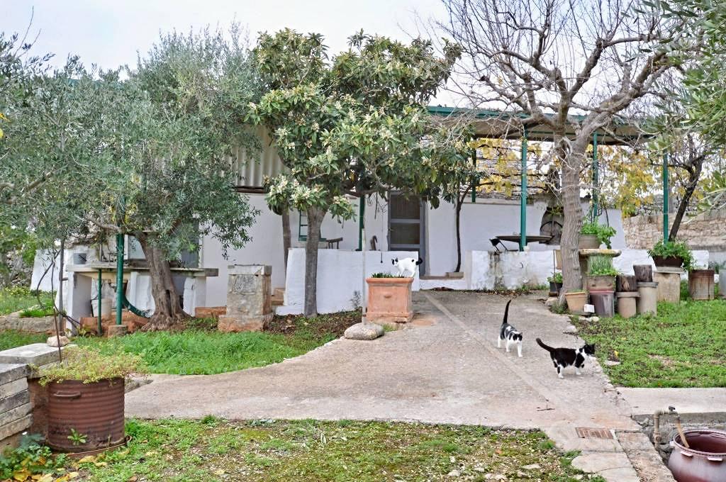 Rustico / Casale di 60 m² con 2 locali a Putignano - Vista 3