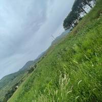 Terreno agricolo
