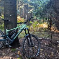 Rocky Mountain Altitude A70 2025