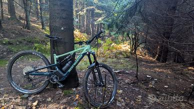 Rocky Mountain Altitude A70 2025