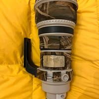 Canon EF 400mm f/2.8 L IS USM
